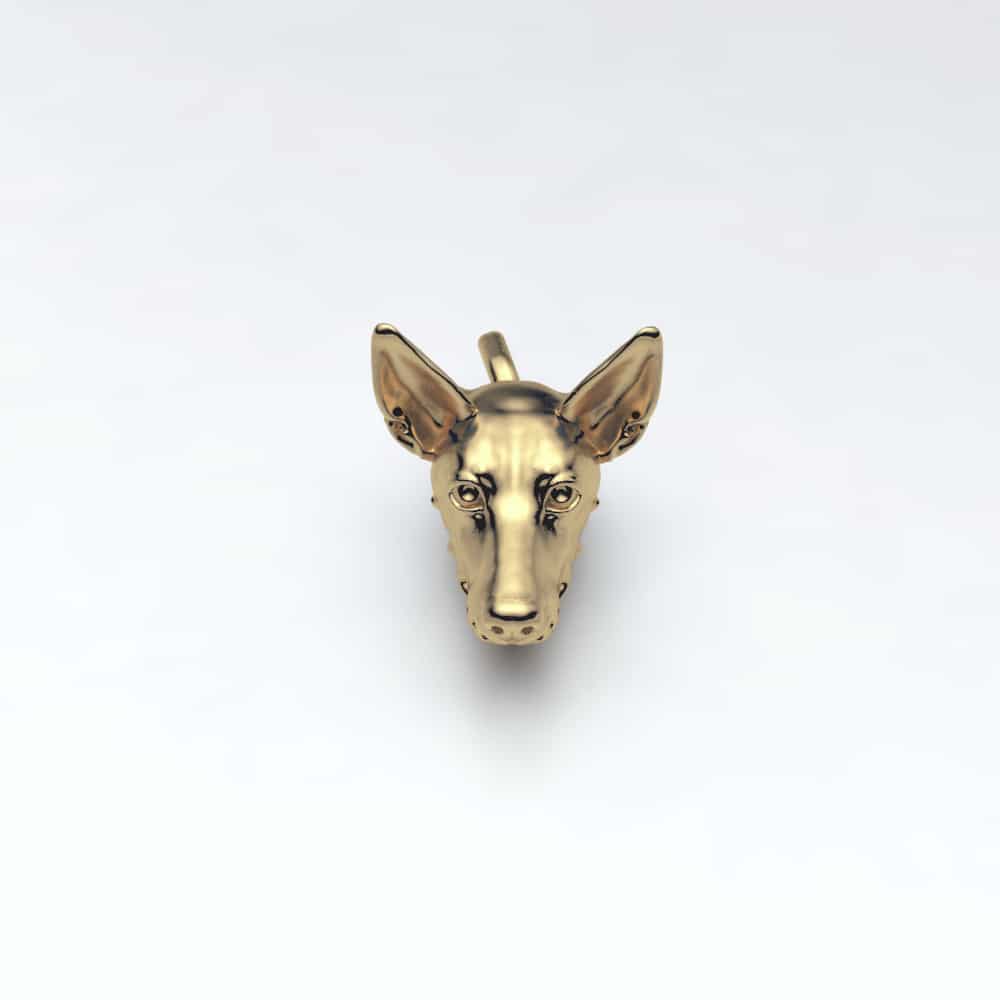 Podenco