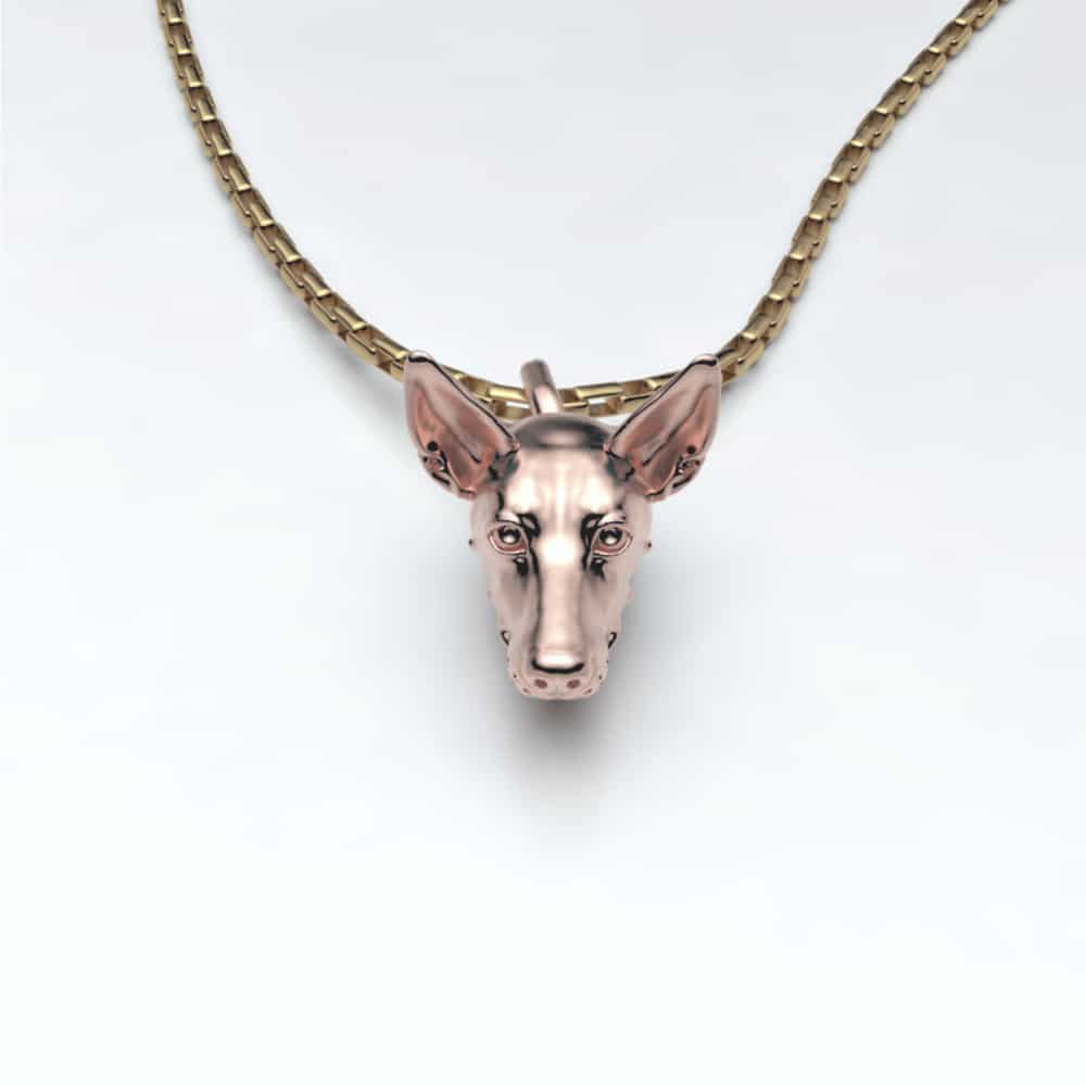 Podenco