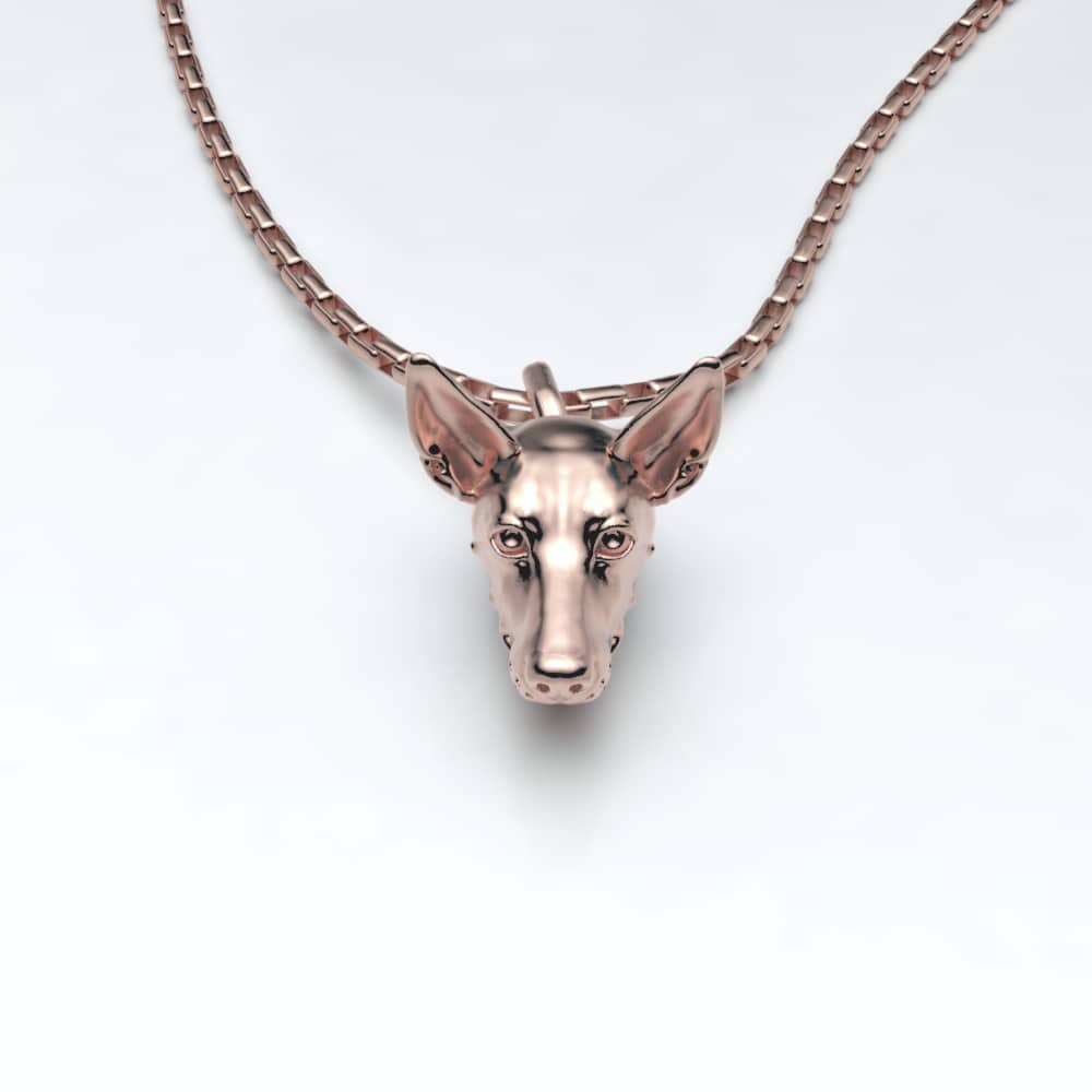 Podenco