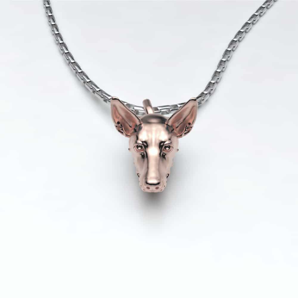 Podenco