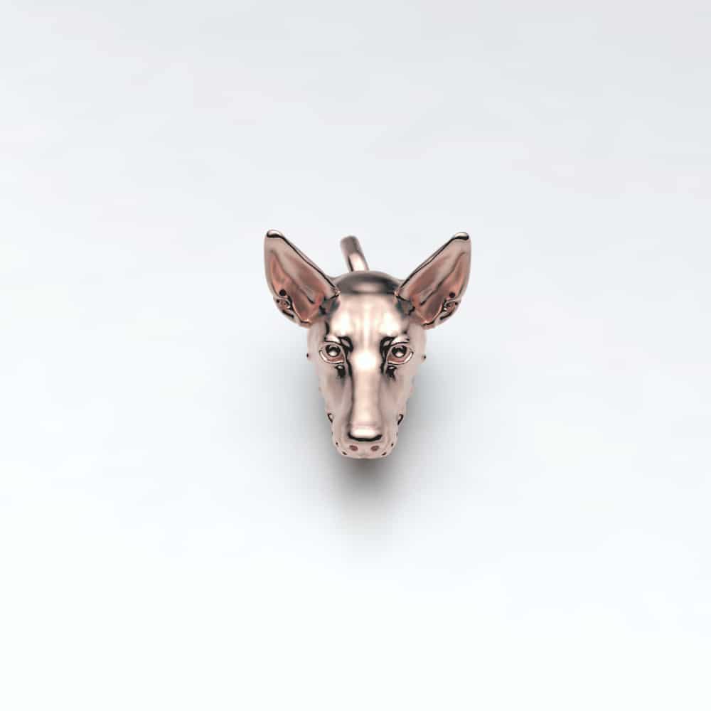 Podenco