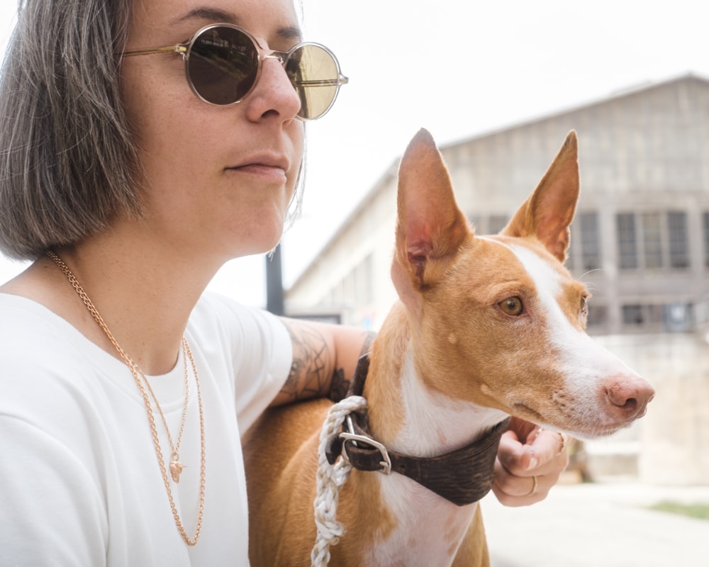 Podenco Kette
