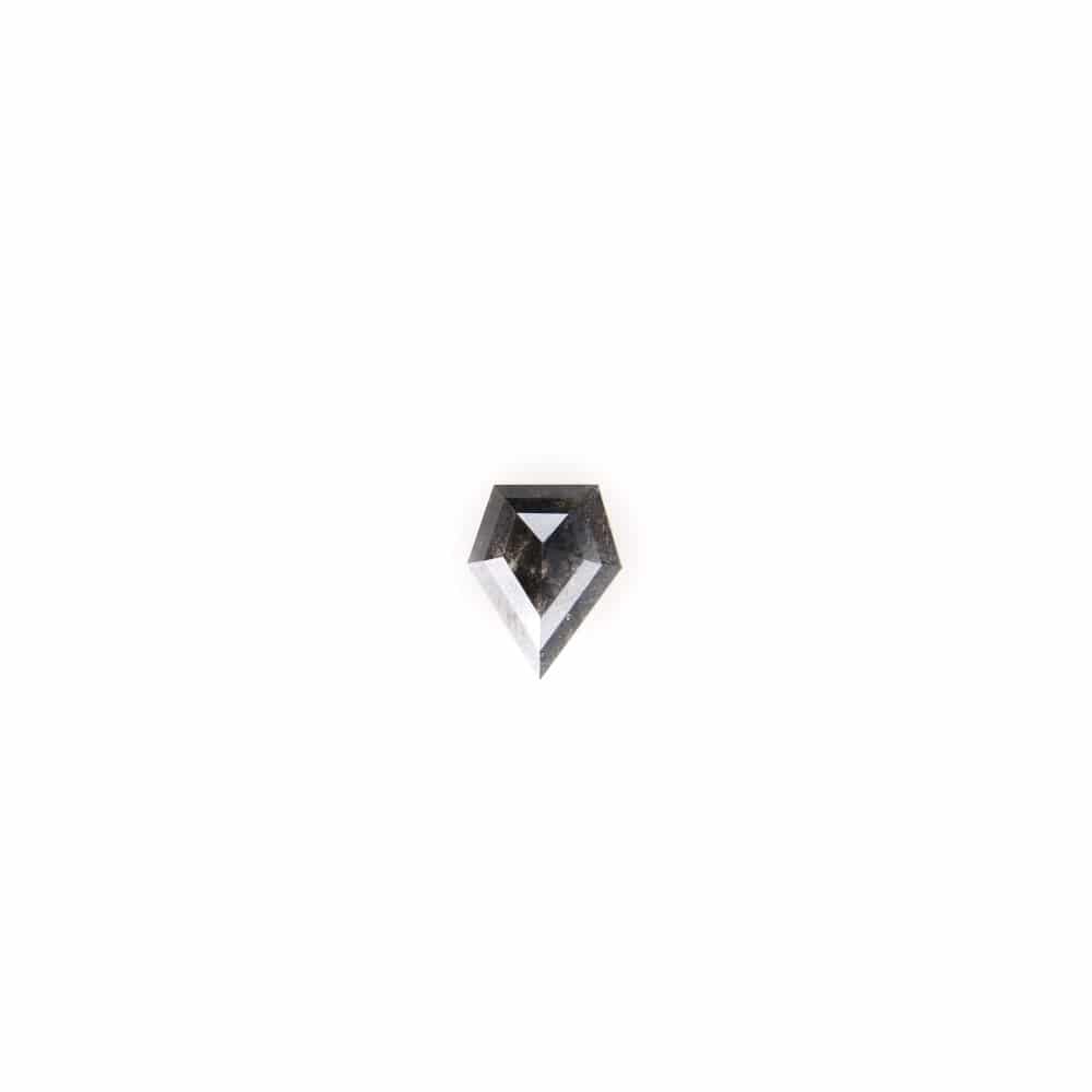 "Salt and Pepper" Diamant + Ring (0002)