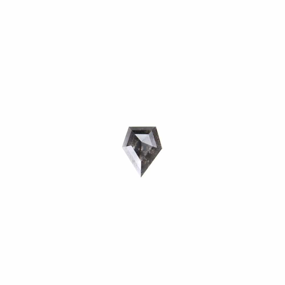 "Salt and Pepper" Diamant + Ring (0002)
